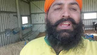 Video 32 :- Herd Test