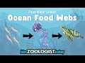 Understanding Oceanic Food Webs