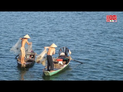 Hình Ảnh Sông Đồng Nai - Sông núi đất Việt:  Sông La Ngà