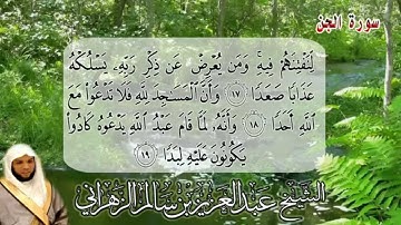 سورة الجن | بصوت الشيخ عبدالعزيز بن سالم الزهراني | جامع الجوهرة بمكة