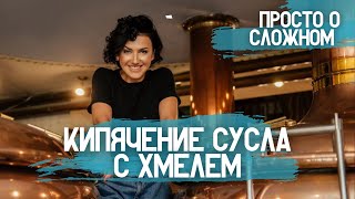 видео: КИПЯЧЕНИЕ СУСЛА  . Хмелевая «огранка» сусла . картинка: КИПЯЧЕНИЕ СУСЛА  . Хмелевая «огранка» сусла .
