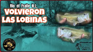 Buscando Lobinas Río El Fraile N.l.