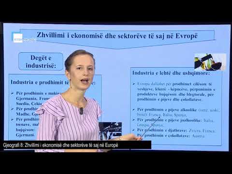 Video: Tregu valutor i Rusisë - formimi dhe zhvillimi