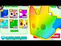 Crazy offer for  rainbow titanic scary corgi pet simulator 99