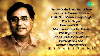 Top 100 songs of Jagjit Shingh screenshot 3