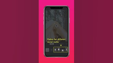 Resize Video for Different Social Media (InShot Tutorial)