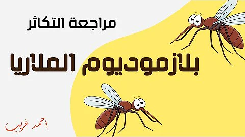 Lifecycle Of Plasmodium Malaria Parasite Biology 3 Sec Ahmed Gharib Lifecycle Of Plasmodium Malaria Parasite Biology 3 Sec Ahmed Gharib