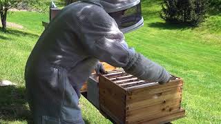 Honeybee Nuc Installation Spring 2024 by The Jeff B. I. Files 47 views 3 weeks ago 14 minutes, 44 seconds