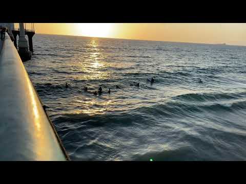 iPhone 11 Pro Max 4k Video of Surfers at Manhattan Beach Pier at Sunset