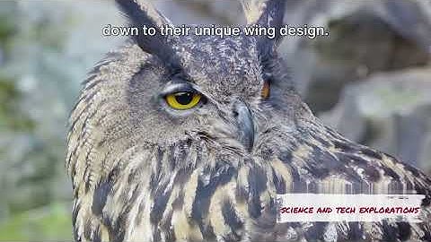 Bio Inspired Engineering Top10 Nature. #bioengineering #bio #new #amazing #technology #discoveries