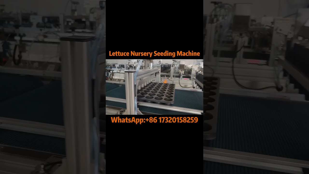 Lettuce Nursery Seeding Machine: Boost Your Gardening Success!