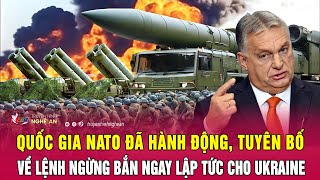 Quốc gia NATO đã hành động, tuyên bố về lệnh ngừng bắn ngay lập tức cho Ukraine | Nghệ An TV