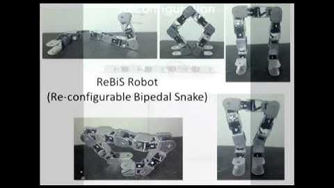 ReBiS Reconfigurable Bipedal Snake Robot