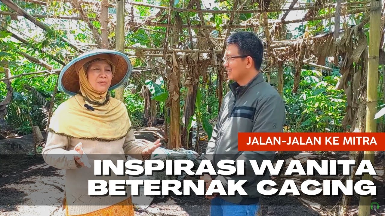 INSPIRASI WANITA MANDIRI, BETERNAK CACING BU ADAWIYAH BISA BANTU SEKOLAHKAN DUA ANAK,