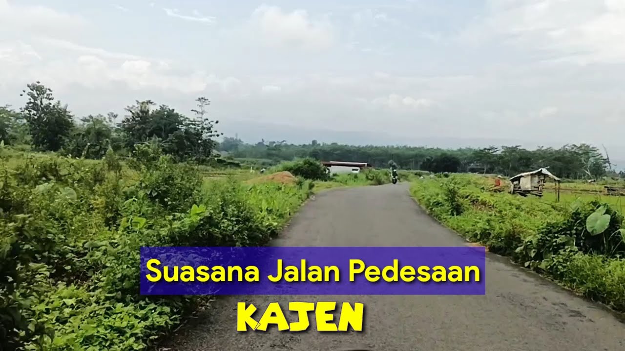 Kondisi & Suasana Jalan Desa Kebonagung - Salit - Sankanjoyo Kajen