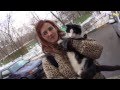 Cats&DogsTV - УДИВИТЕЛЬНЫЙ МИР КОШЕК - КОТЫ-АРИСТОКРАТЫ ИЗ МОСКОВСКИХ ПОДВАЛОВ/. ARISTOCRAT CATS