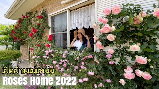 Ep.1280 Rose Home 2022 เปิดบ้านแม่แหม่มชมกุหลาบสวยๆพร้อมชื่อสายพันธุ์กุหลาบหลากหลายสายพันธุ์