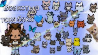 ~Все кошки в Тока Бока//Toca World~ - YouTube