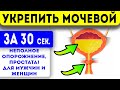 Мочевой пузырь и простата будут, как новые! ЛУЧШЕЕ упражнение для мужчин и женщин!