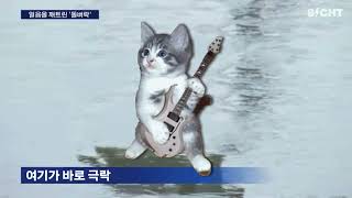 [𝐏𝐥𝐚𝐲𝐥𝐢𝐬𝐭] 꽁꽁 얼어붙은 밴드씬을 녹일 핫한 국내 밴드 모음🎸🐈