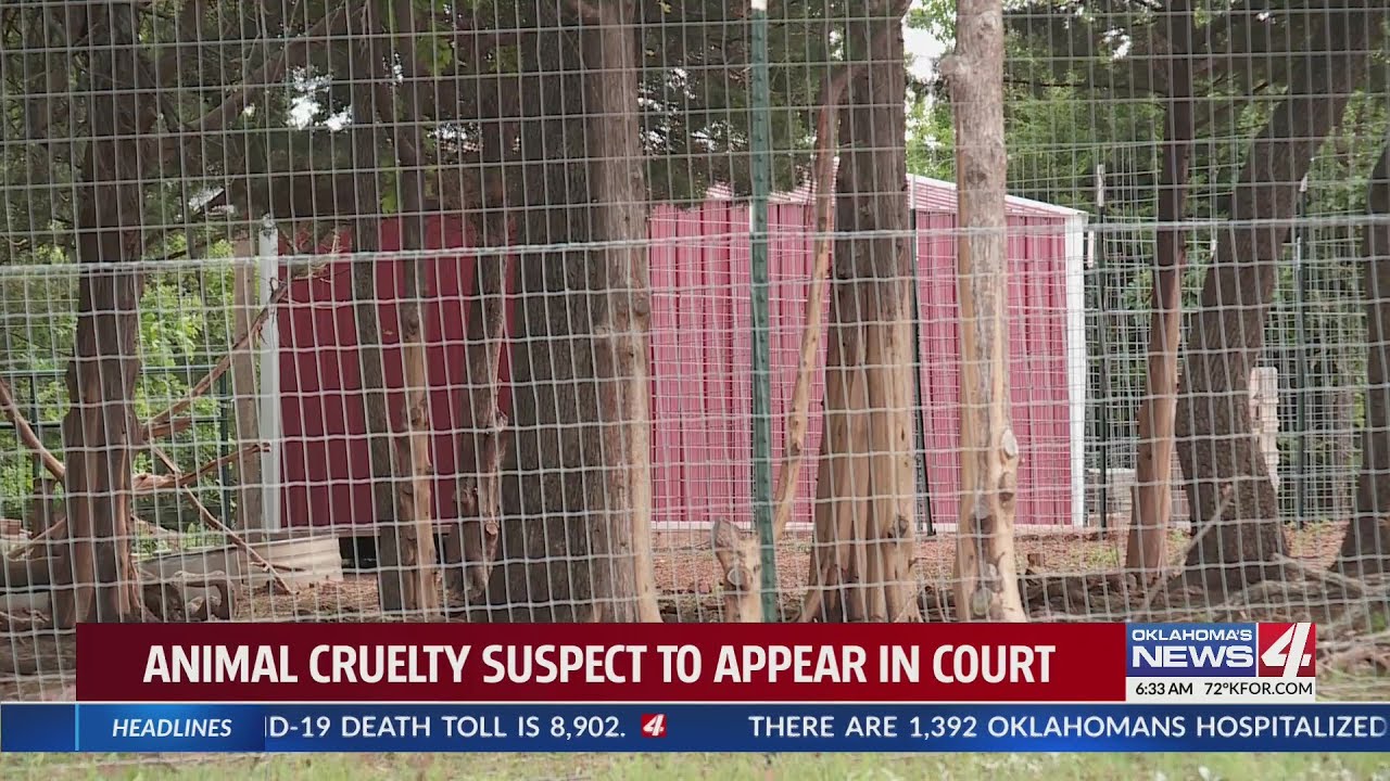 Animal cruelty suspect to appear in court
