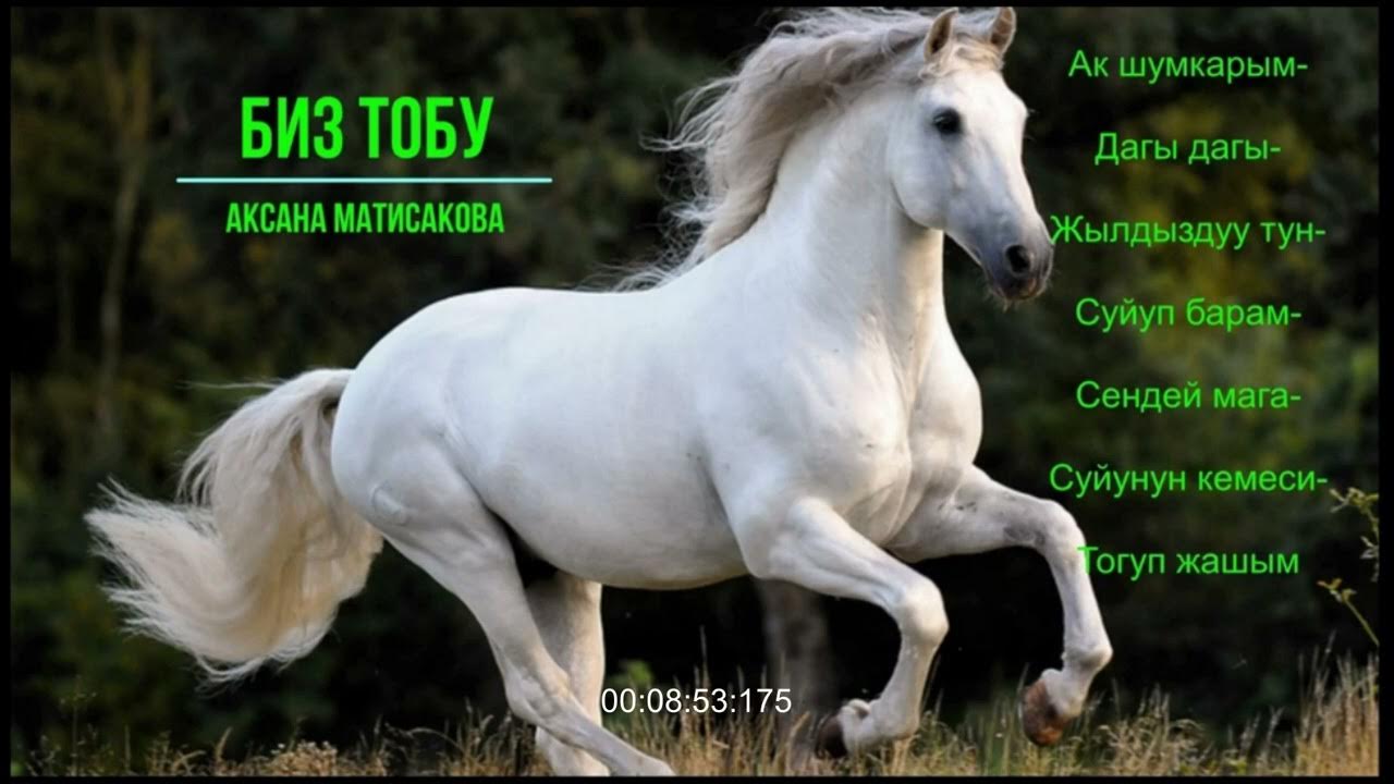 Лошадь породы Томпсон