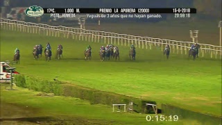 Hipódromo San Isidro Live Stream