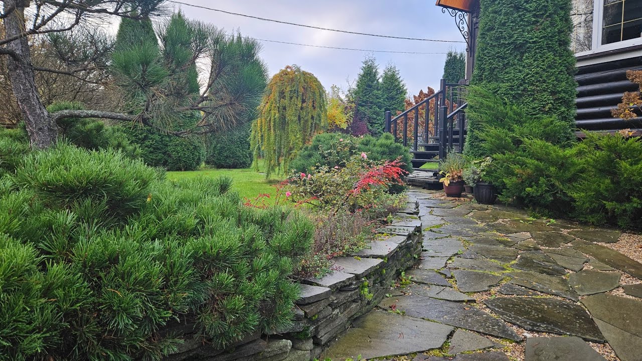 Осенние работы в саду 