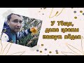 Нееее... к этой корове я не подойду) Как мы приехали к родителям чинить морозильник