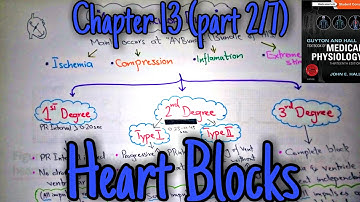 Heart blocks - chapter 13 (part 2/7) - Guyton and Hall text book of physiology.