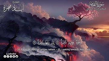 القارئ إياد مهرة   تلاوة هادئة سورة القيامة Surah Al Qiyamah