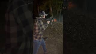 #sig mpx rare breed trigger