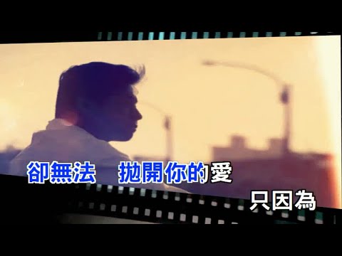 這是我第二次愛上你-王傑(HQ)