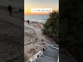كورنيش قصر بشار الأسد في اللاذقية سوريا دمشق Shorts Syria Short 