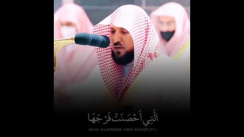 آيه من سورة التحريم (الشيخ ماهر المعيقلي)💙💙