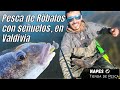 Pesca de Róbalos con Señuelos, en Valdivia, Chile
