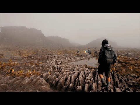 What I found on the top of Mount Roraima?