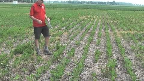 Maximizing residual marestail control with early-spring herbicide applications