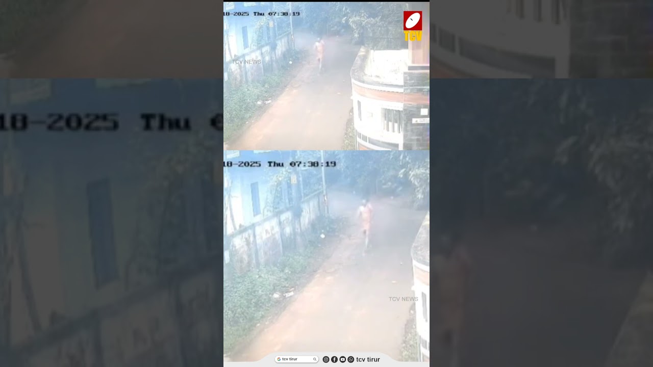 പൊന്നാനിയില്‍ വിദ്യാര്‍ത്ഥിക്ക് നേരെ പാഞ്ഞടുത്ത് പത്തോളം തെരുവുനായകള്‍; ഞെട്ടിച്ച് CCTV ദൃശ്യങ്ങള്‍