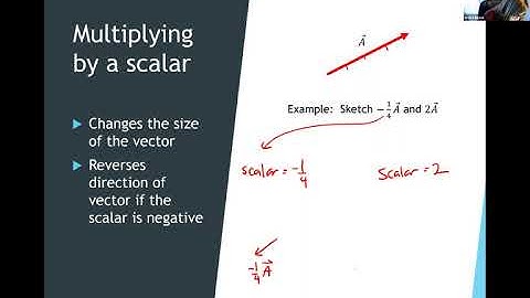 Performing basic vector operations graphically