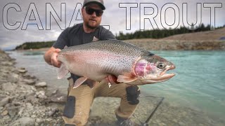 Fly Fishing Giant Canal Trout.