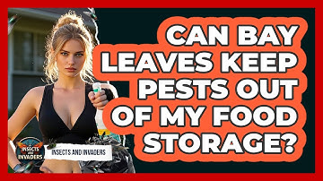 Can Bay Leaves Keep Pests Out Of My Food Storage? - Insects and Invaders