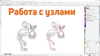 :  .   .       . Corel Draw  