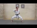 Karat expert  passage de grades  les 6 kata du karat shotokan par ric delannoy