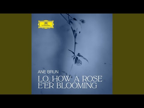 Putar Lo, How a Rose E'er Blooming - Ane Brun