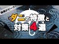 【ダニ駆除】梅雨がピーク‼︎　ダニの特徴と対策４選