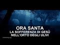 Ora Santa - Un'ora con Gesù nel Getsemani