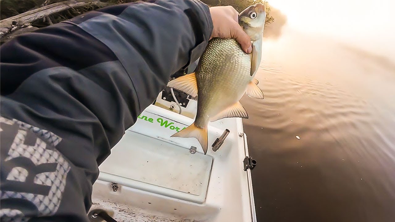 Emajõel latikat püüdmas – aga jälle juhtub äpardus…