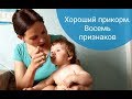 Хороший прикорм. Восемь признаков