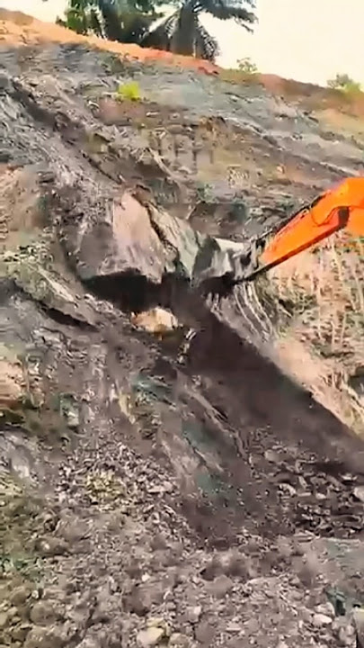 dapat batu bara tapi tanahnya langsung diberi patok #batubara #galibatubara #shortsvideo